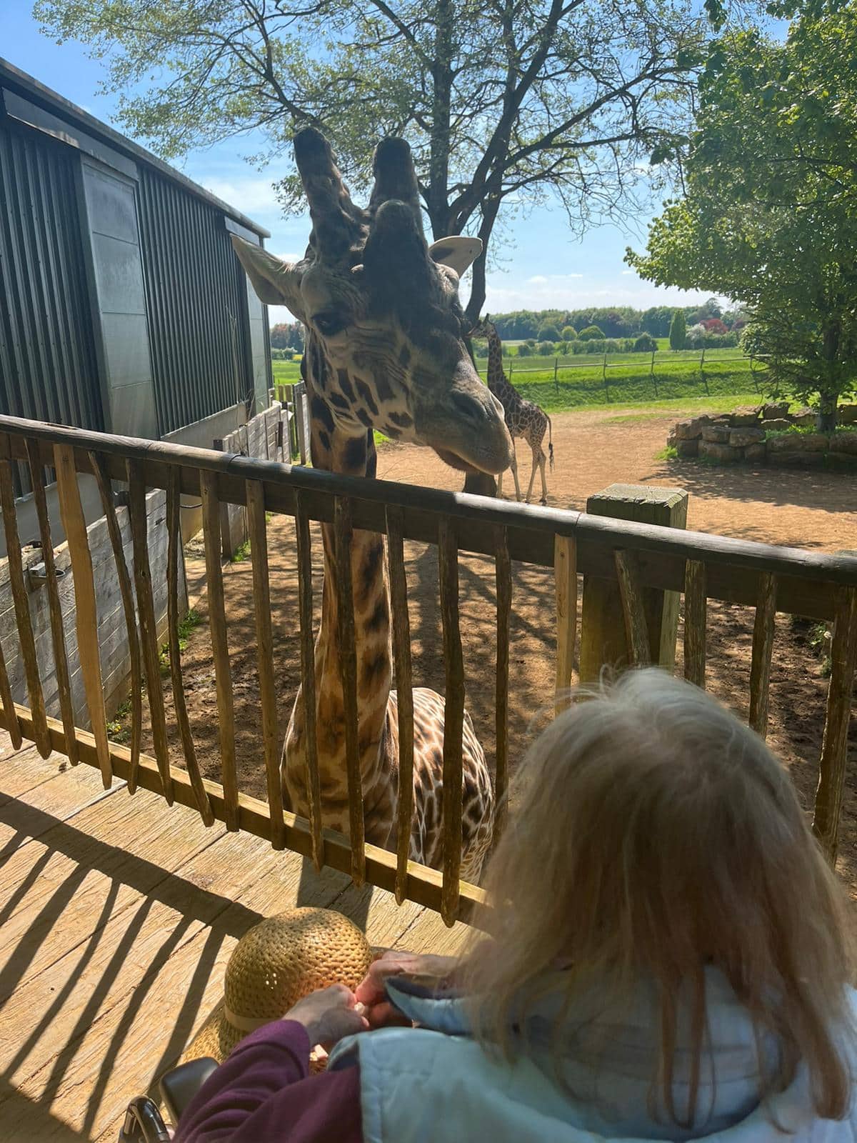 Day out to Cotswold Animal Park